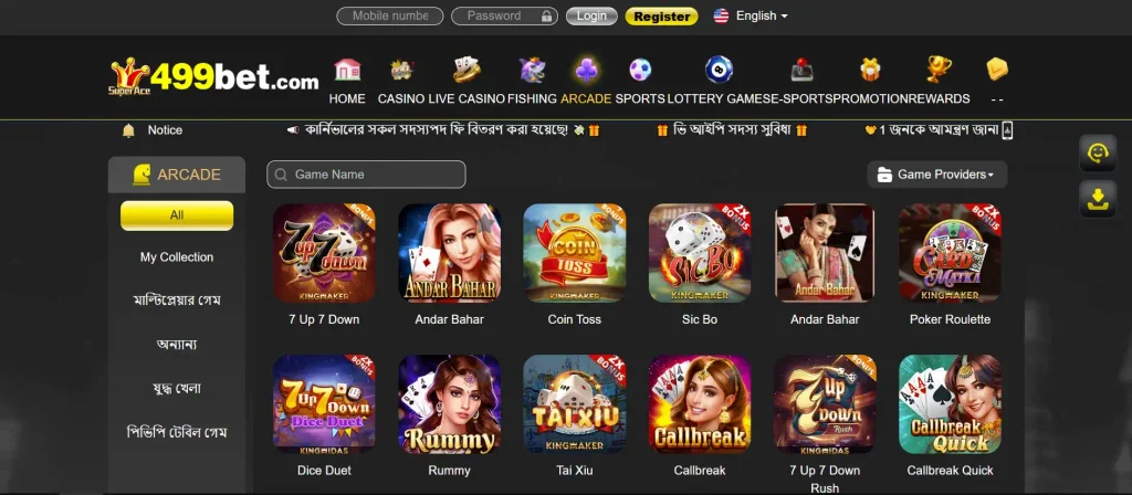 Cricket Betting – BPL, IPL & International Matches