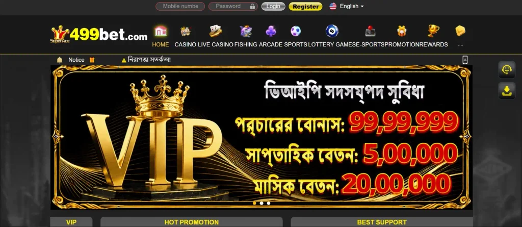 What Is 449bet?