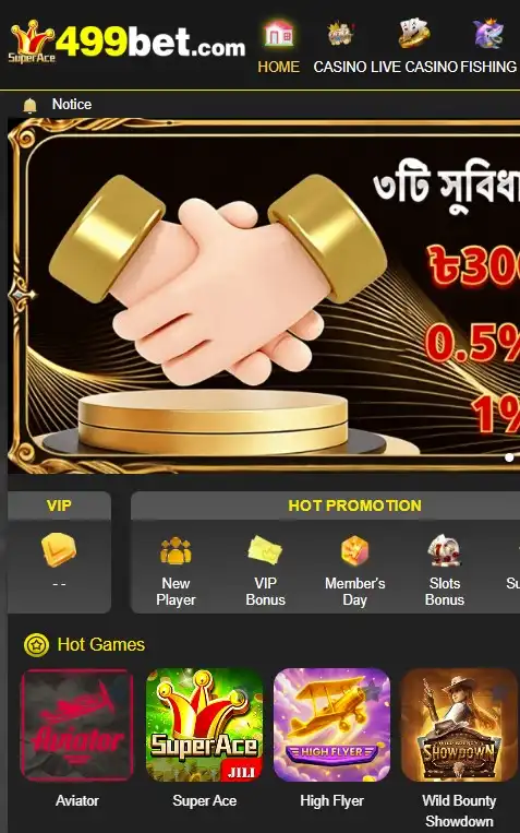 Mobile Website
